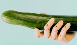 Peniksen kartoitus – Salainen nautinnon kartta